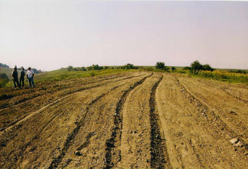 scan0004